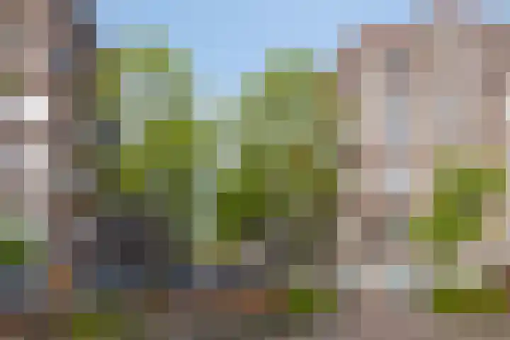 IJselstraat 38 3 Amsterdam thumbnail 25