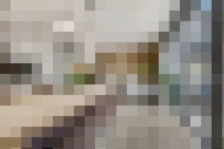 IJssel de Schepperlaan 6 A Ede thumbnail 13