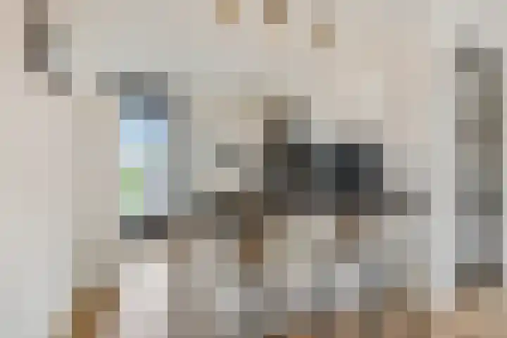 IJssel de Schepperlaan 6 A Ede thumbnail 17