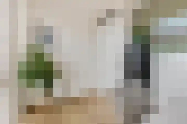 IJssel de Schepperlaan 6 A Ede thumbnail 26
