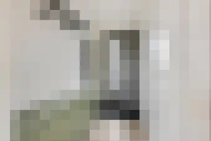 IJssel de Schepperlaan 6 A Ede thumbnail 4