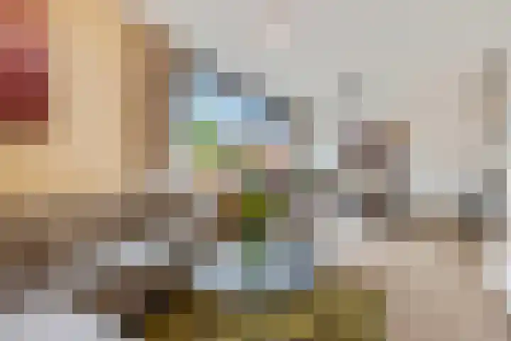 IJssel de Schepperlaan 6 A Ede thumbnail 7