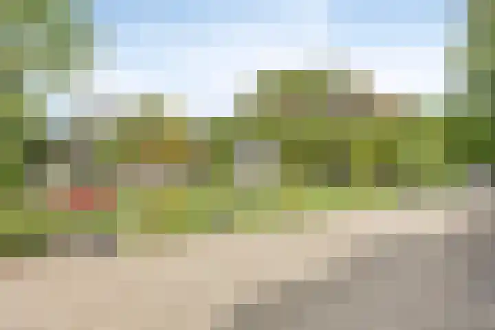 IJsseldijk 83 Veessen thumbnail 37