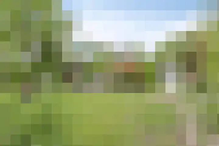 IJsseldijk 83 Veessen thumbnail 43