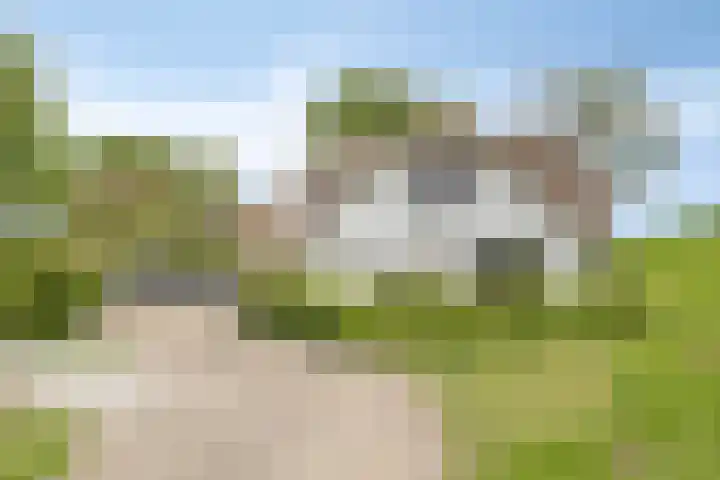 IJsseldijk 83 Veessen thumbnail 69