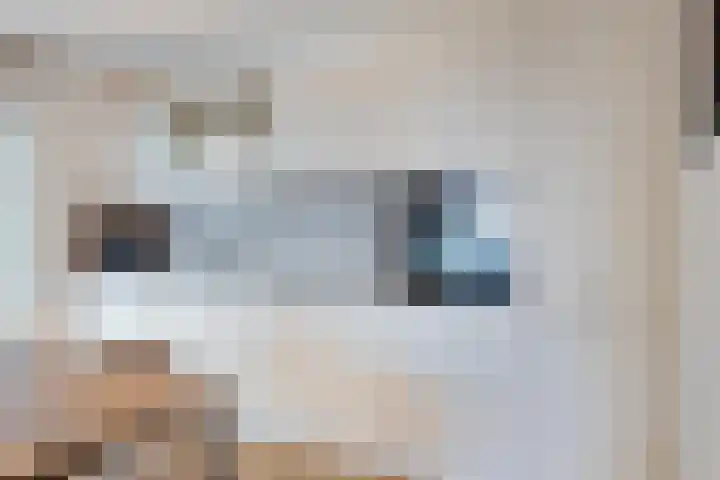 IJsselkade 1 e Zutphen thumbnail 11
