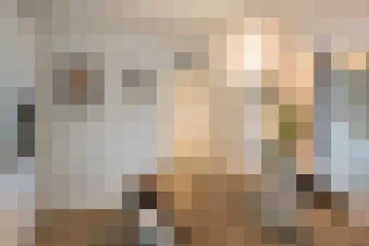 IJsselkade 1 e Zutphen thumbnail 15