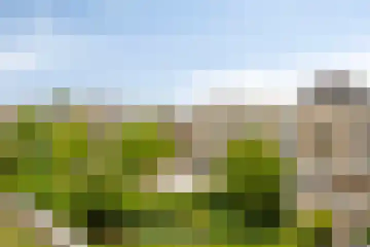 IJsselkade 1 e Zutphen thumbnail 31