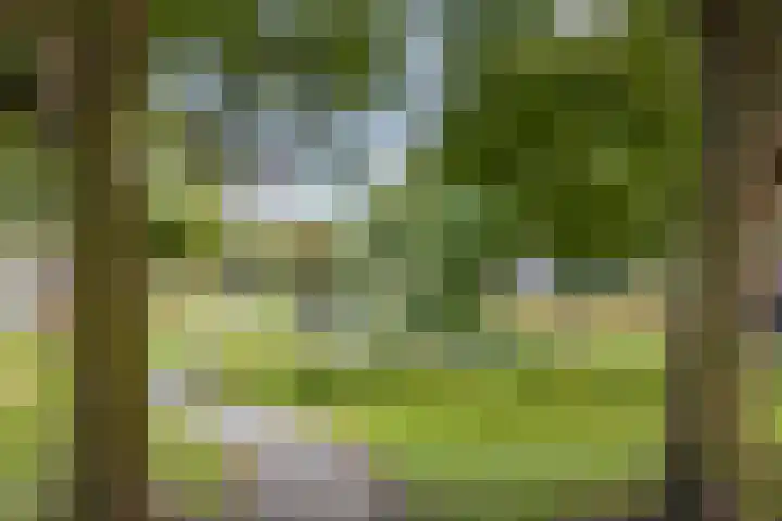 IJsselkade 1 e Zutphen thumbnail 37