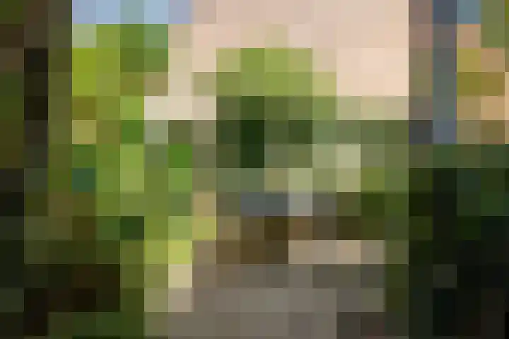 IJsselkade 20 Deventer thumbnail 32