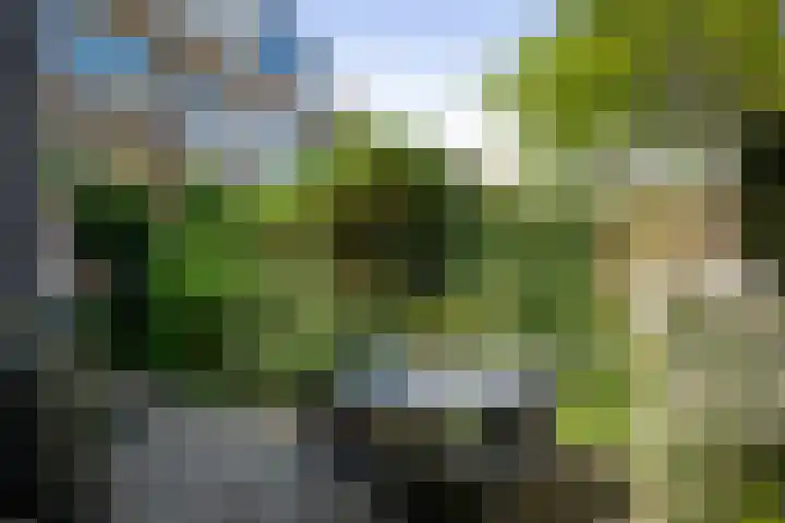 IJsselkade 20 Deventer thumbnail 34
