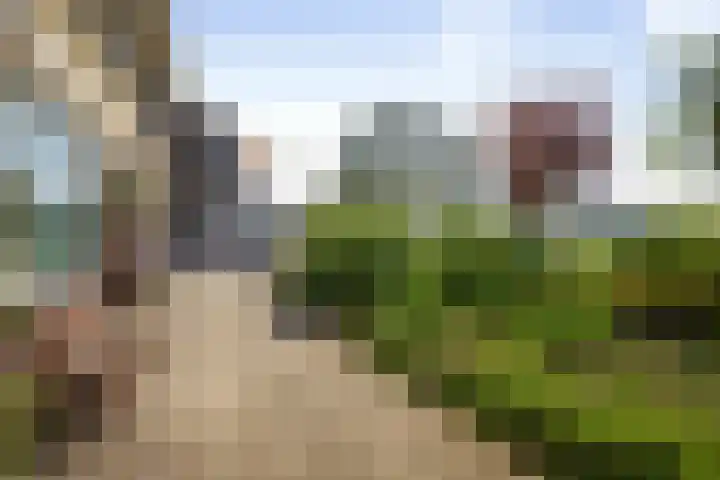 IJsselkade 20 Deventer thumbnail 38