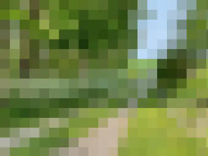 IJsselmeerdijk 31 Warder thumbnail 47