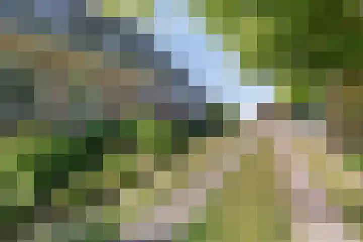 IJsselmeerdijk 31 Warder thumbnail 51