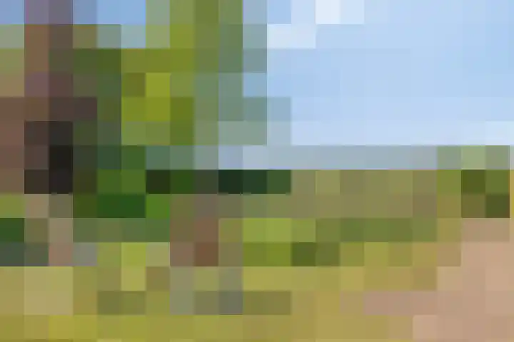 IJsselmeerdijk 31 Warder thumbnail 53