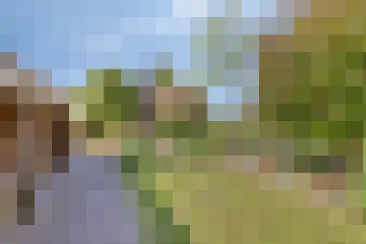 IJsselmeerdijk 31 Warder thumbnail 55