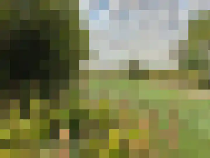 IJsselmeerdijk 31 Warder thumbnail 57