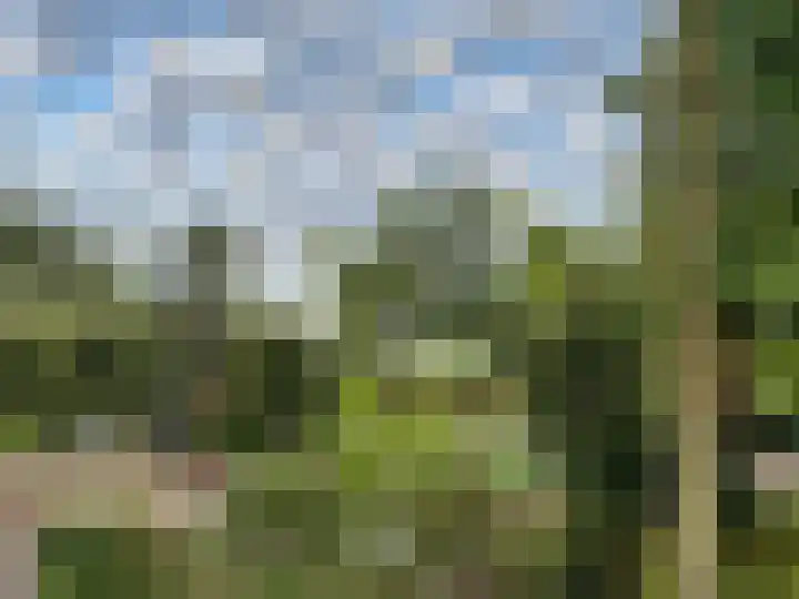 IJsselmeerdijk 31 Warder thumbnail 58
