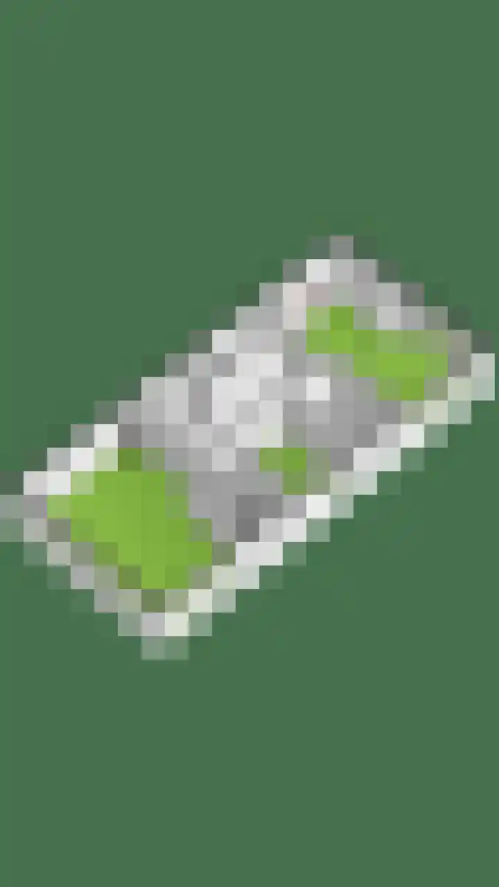 IJsselmeerdijk 31 Warder thumbnail 69