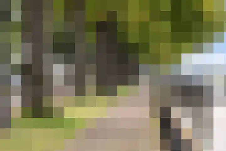 IJsselstraat 3 Deventer thumbnail 31