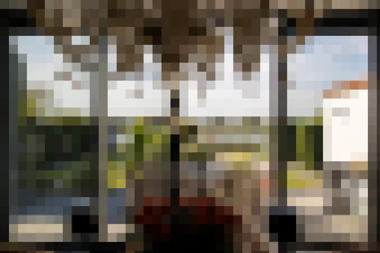 IJsvogel 11 Lathum thumbnail 10