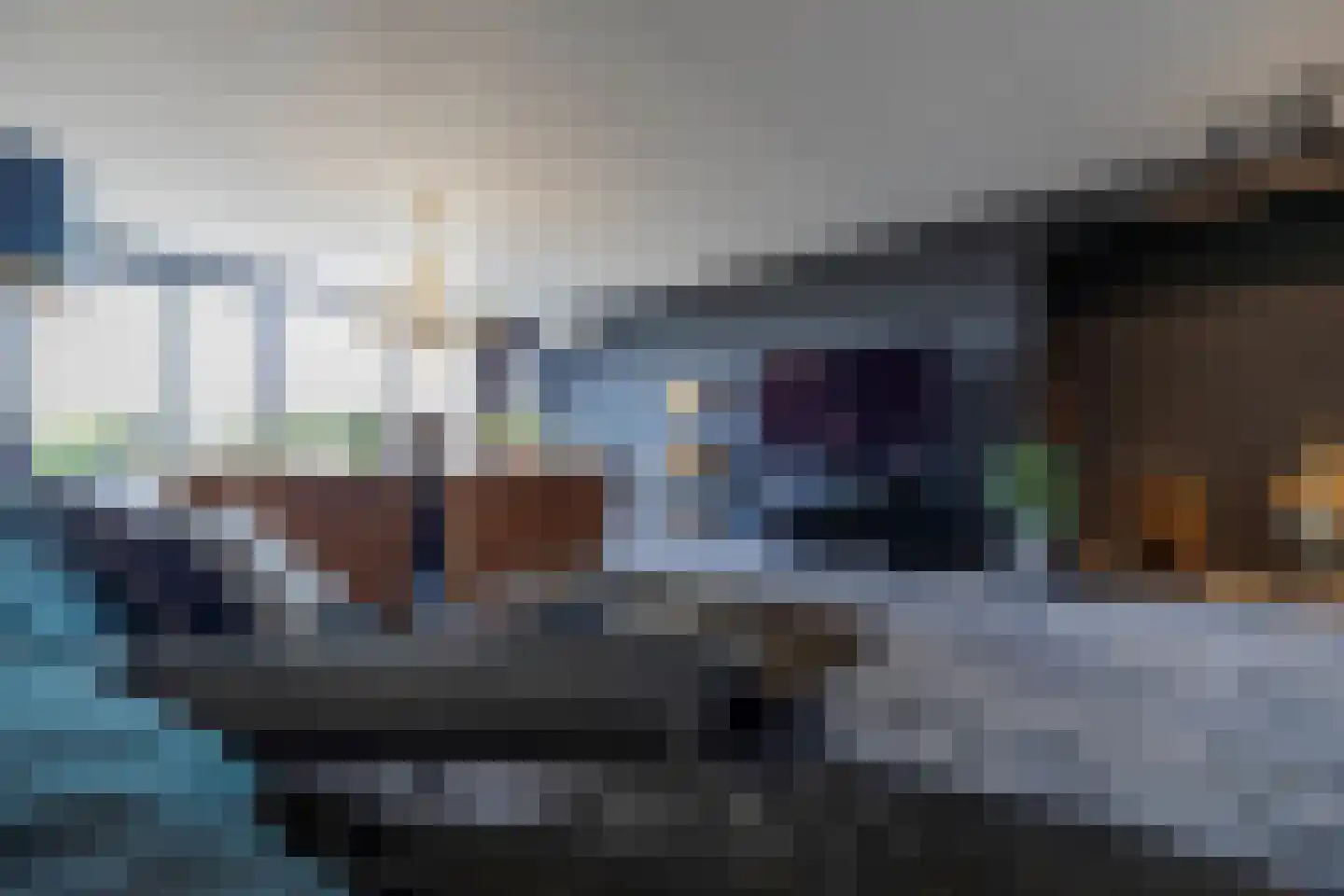 IJsvogel 11 Lathum thumbnail 12