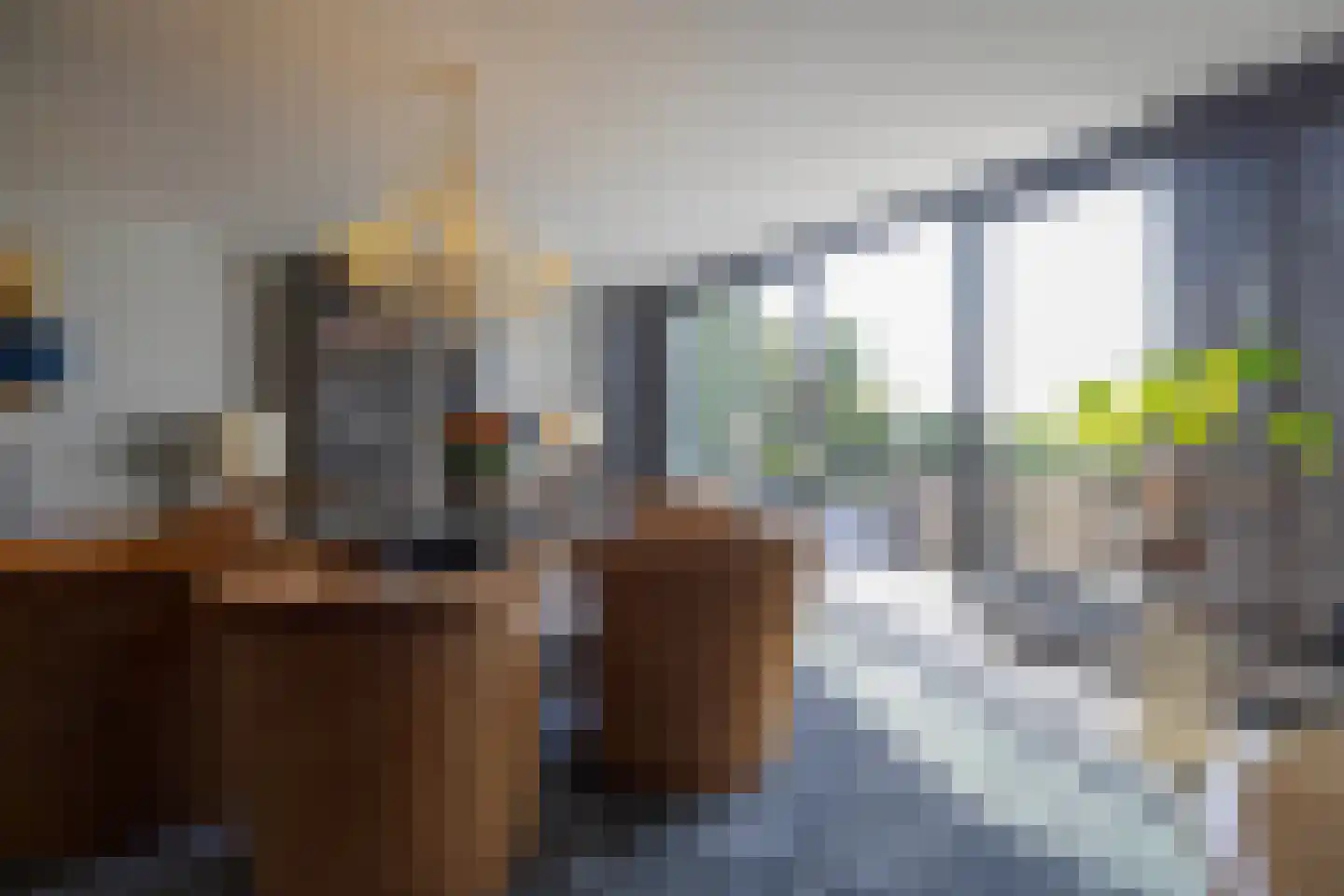 IJsvogel 11 Lathum thumbnail 14