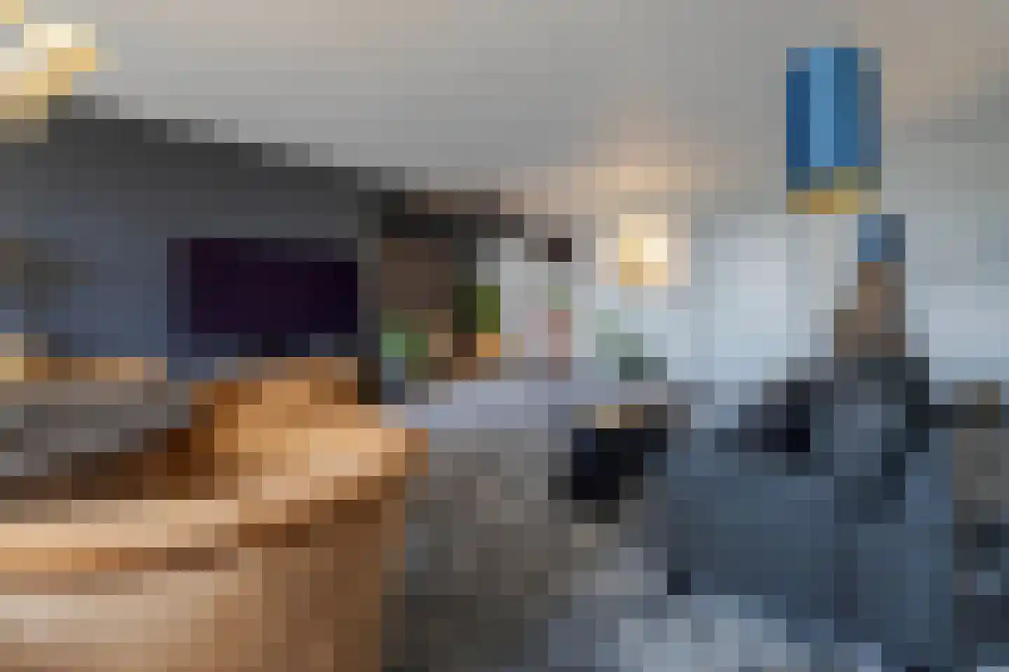 IJsvogel 11 Lathum thumbnail 15