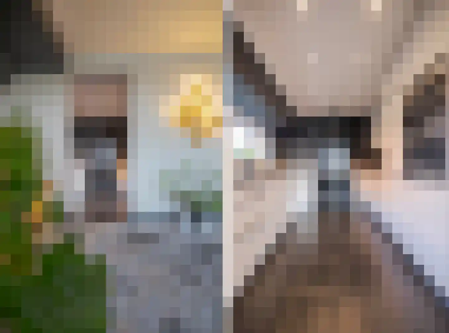 IJsvogel 11 Lathum thumbnail 16