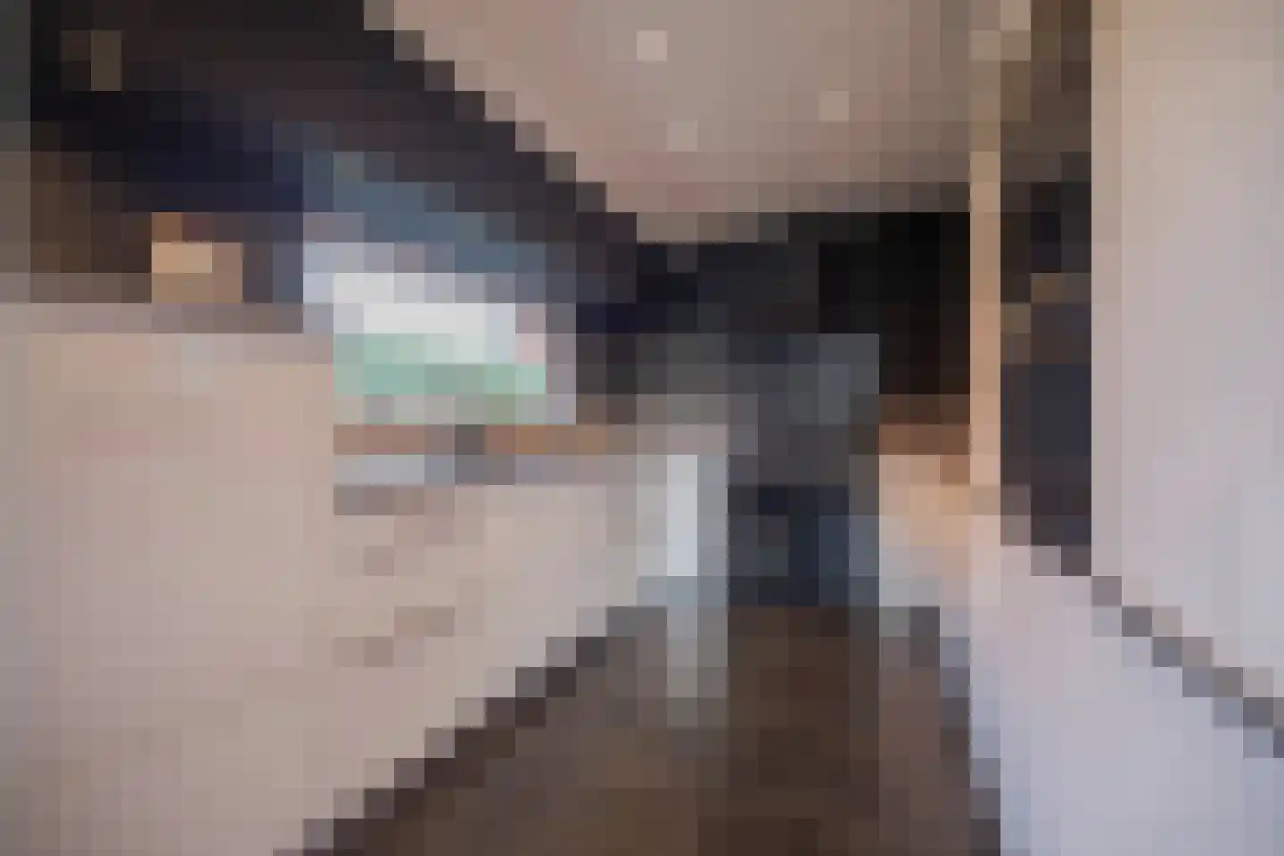IJsvogel 11 Lathum thumbnail 17