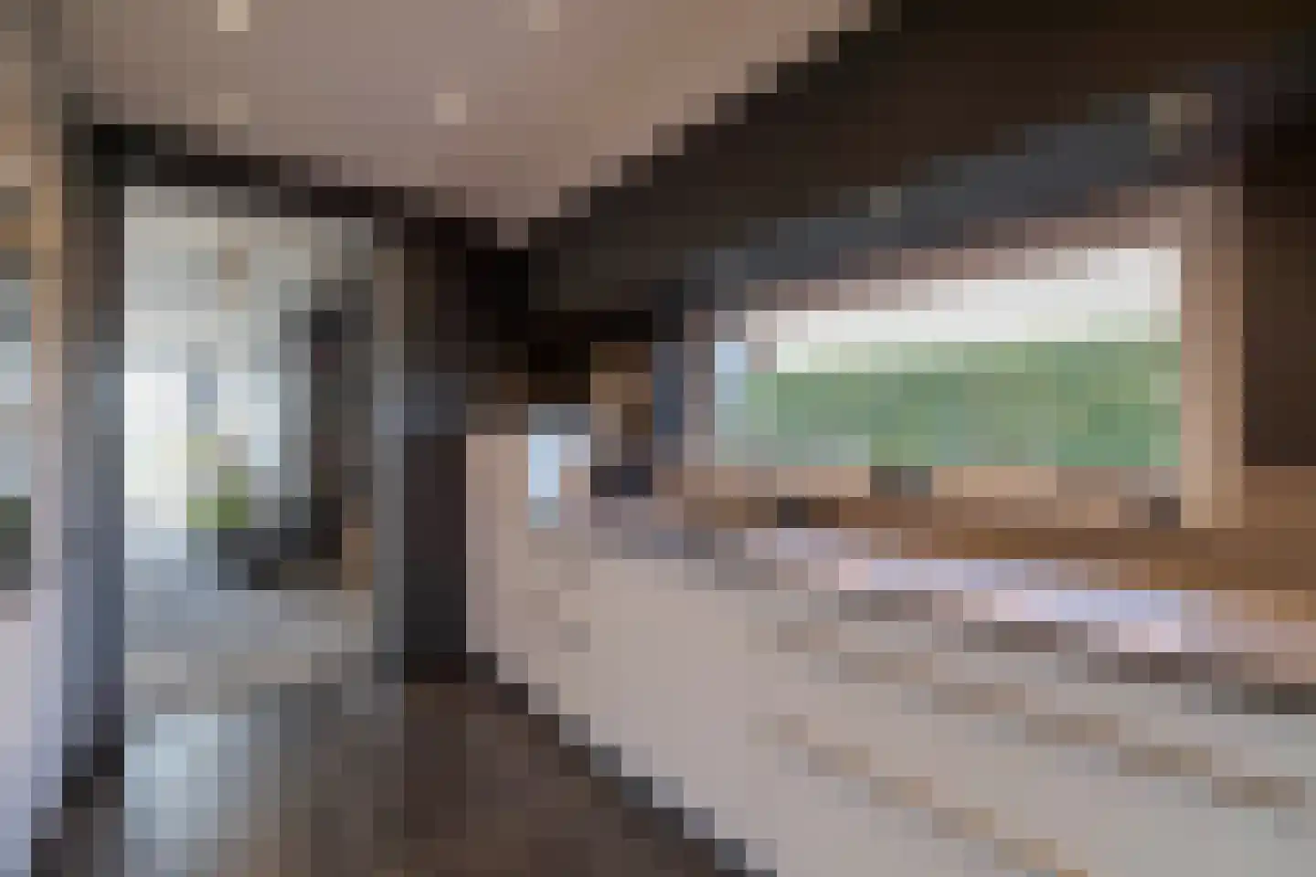 IJsvogel 11 Lathum thumbnail 19