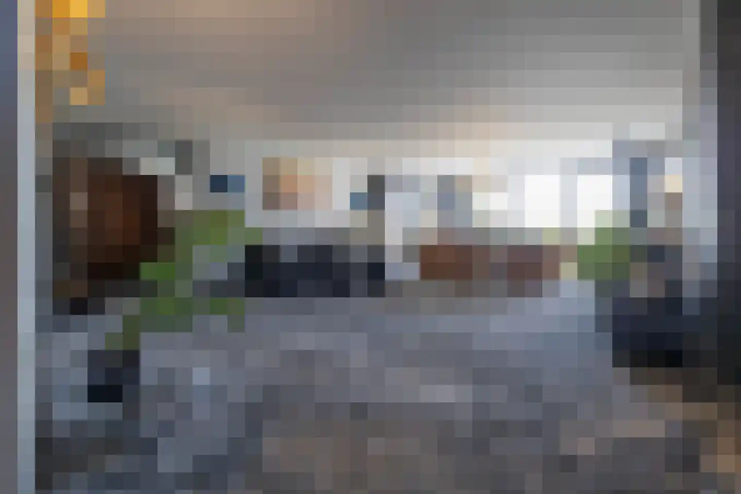 IJsvogel 11 Lathum foto 2