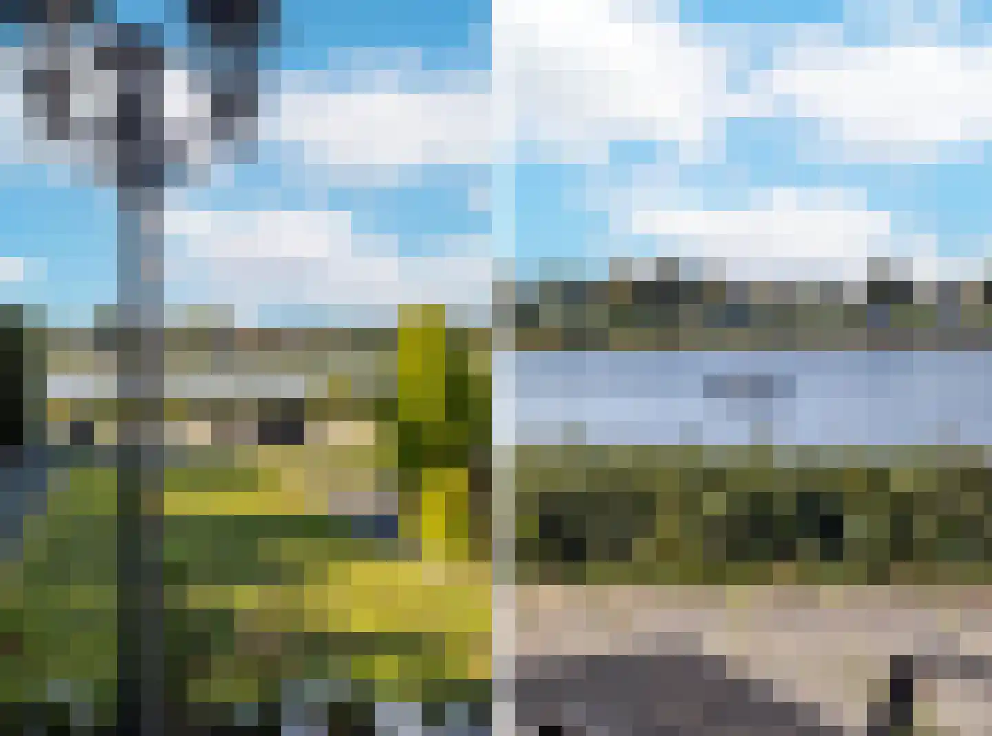 IJsvogel 11 Lathum thumbnail 22