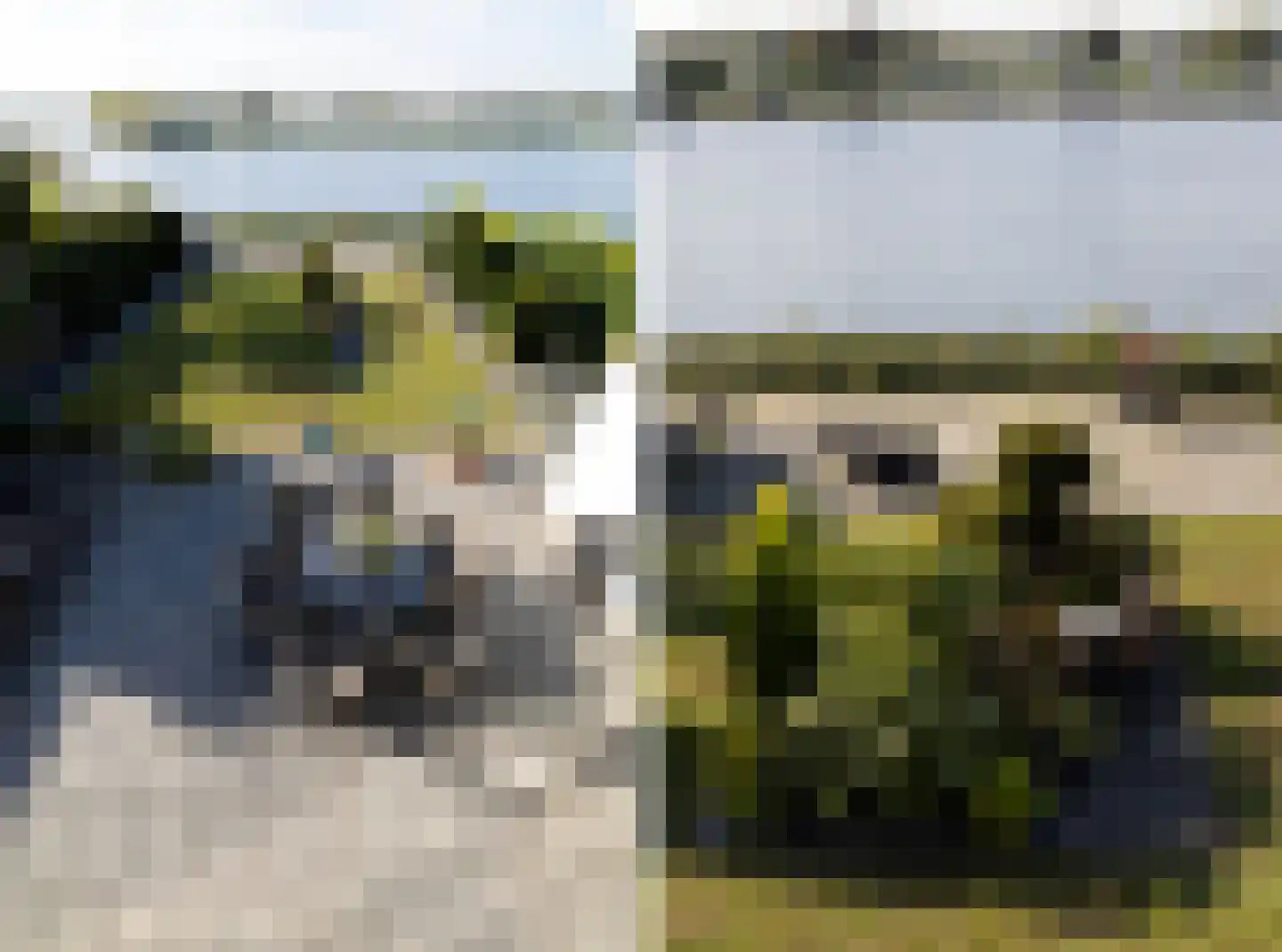 IJsvogel 11 Lathum thumbnail 24