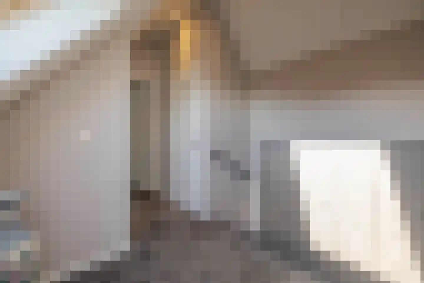 IJsvogel 11 Lathum thumbnail 26