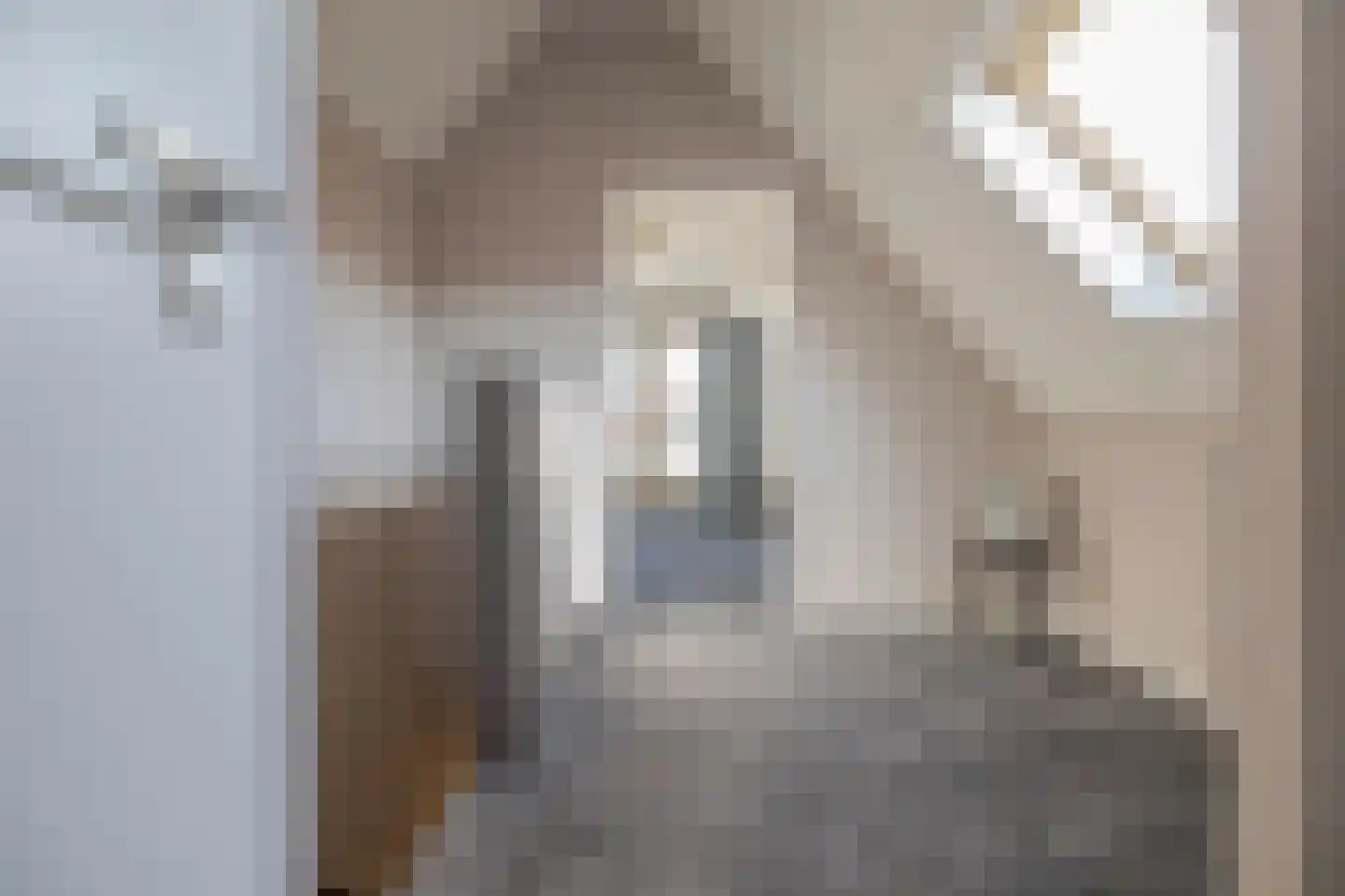 IJsvogel 11 Lathum thumbnail 27