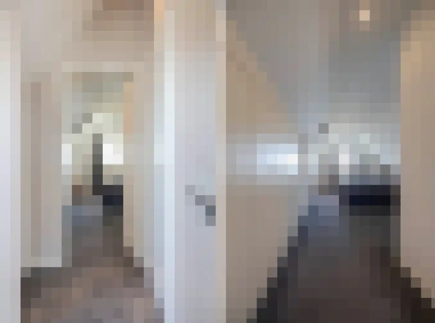 IJsvogel 11 Lathum thumbnail 28