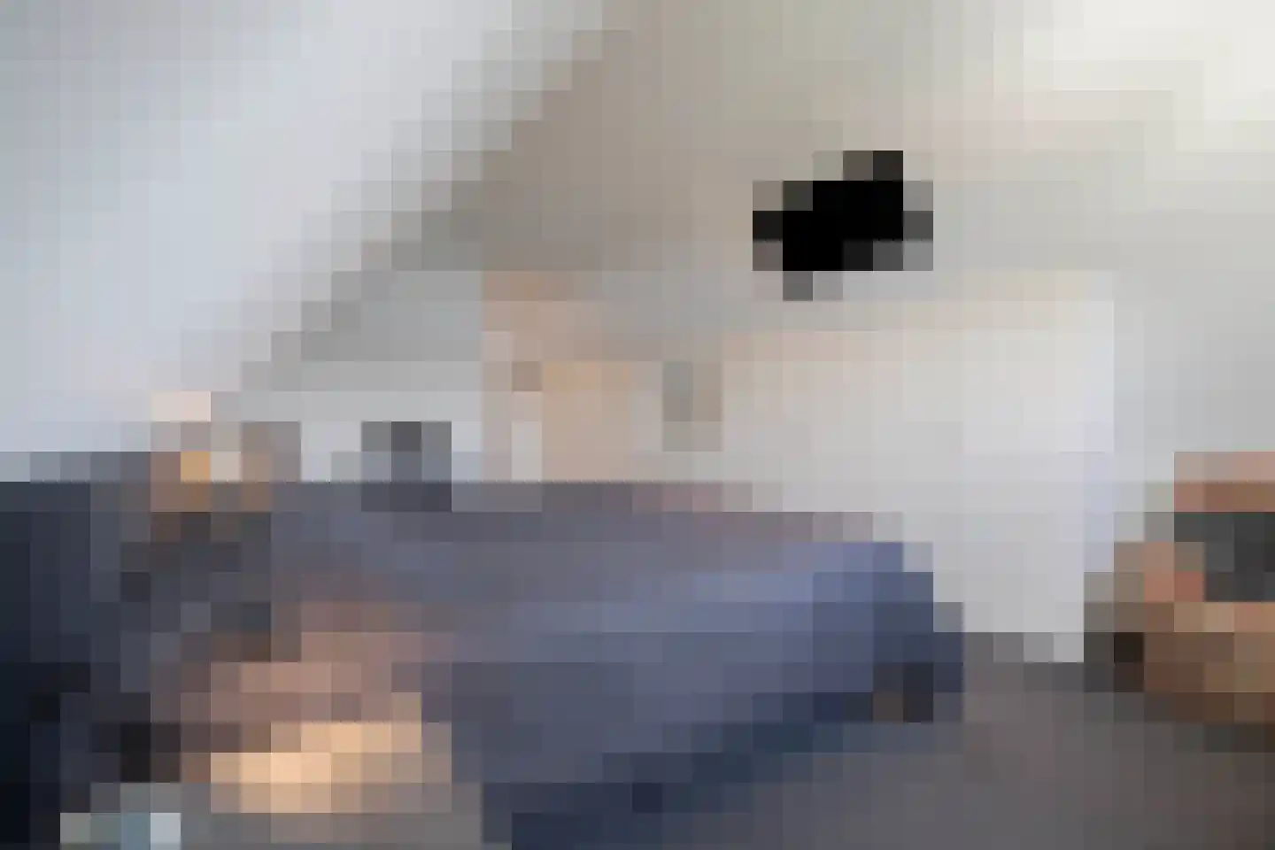 IJsvogel 11 Lathum thumbnail 31