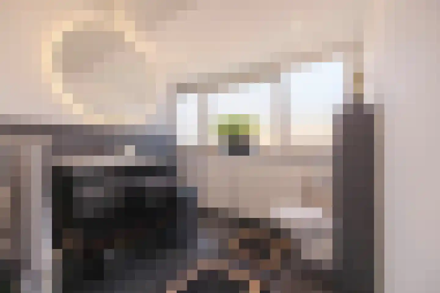 IJsvogel 11 Lathum thumbnail 34