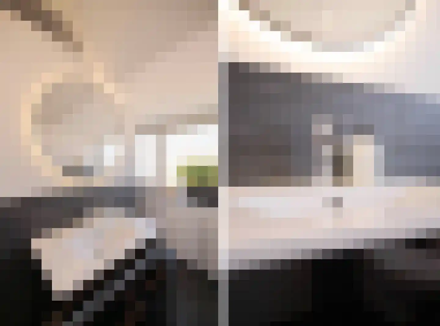 IJsvogel 11 Lathum thumbnail 35