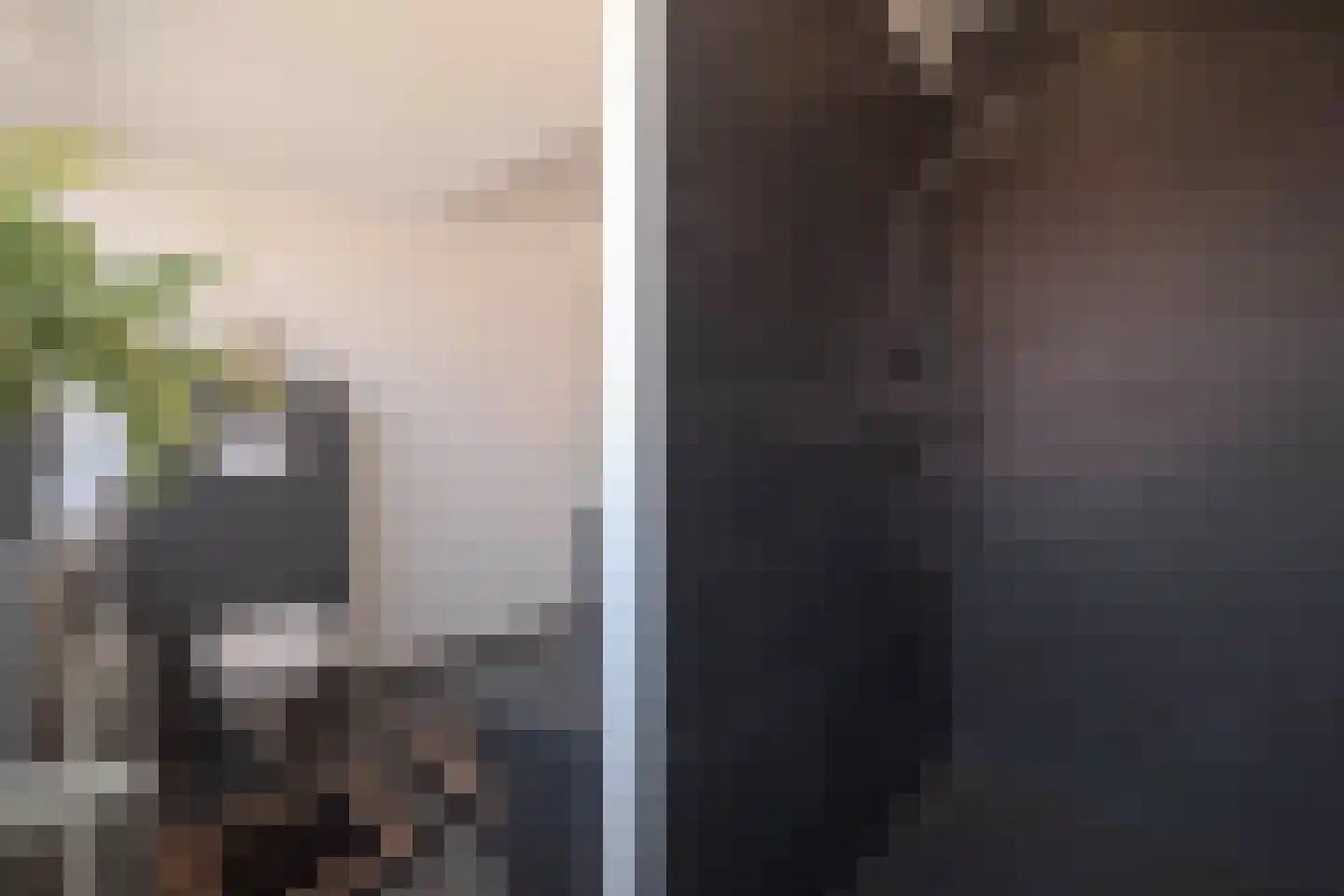 IJsvogel 11 Lathum thumbnail 37