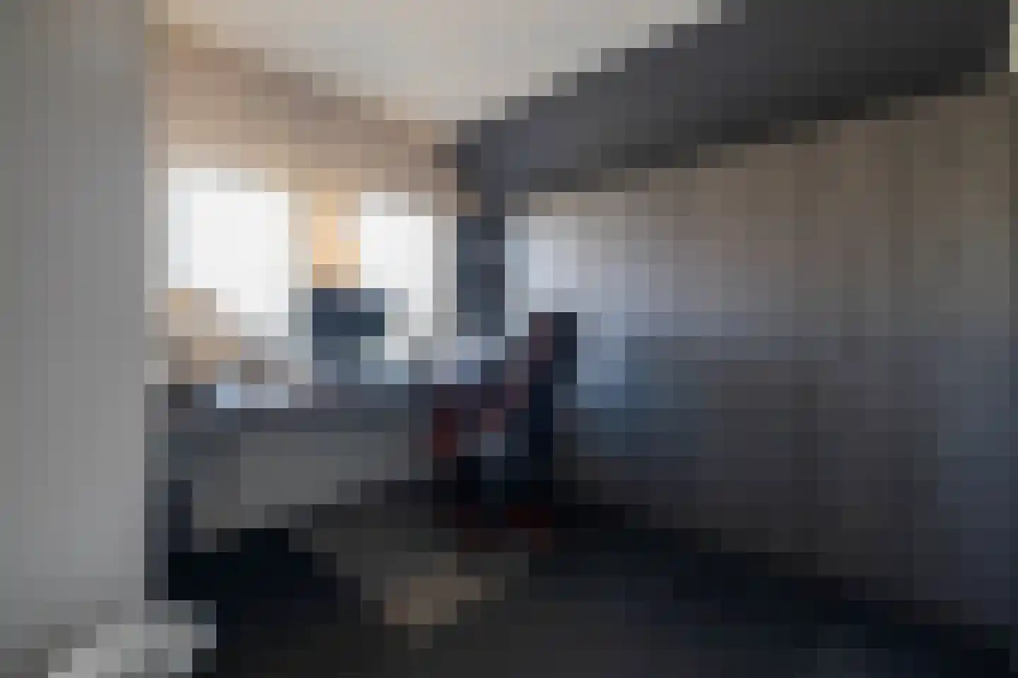 IJsvogel 11 Lathum thumbnail 41