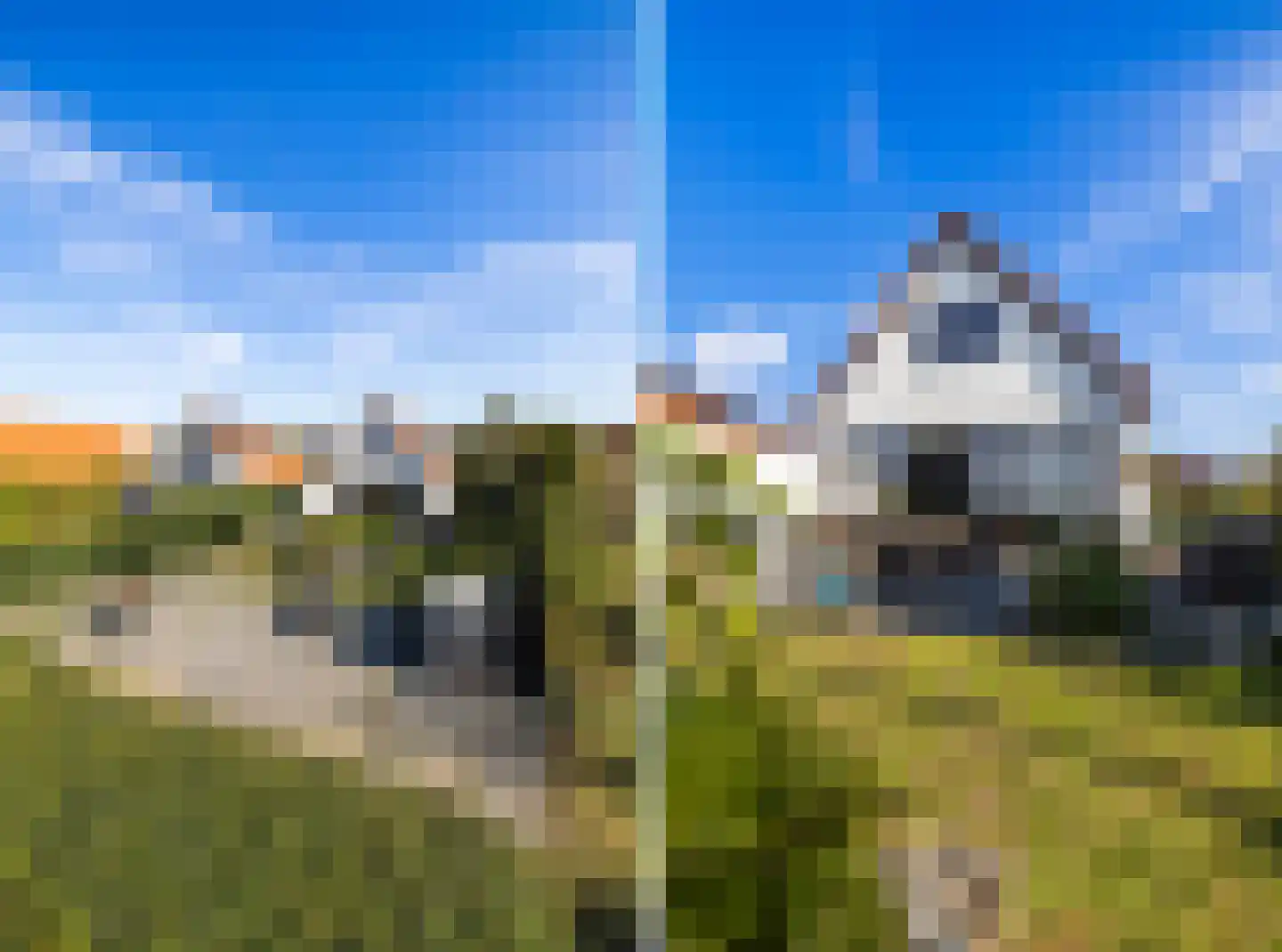 IJsvogel 11 Lathum thumbnail 49