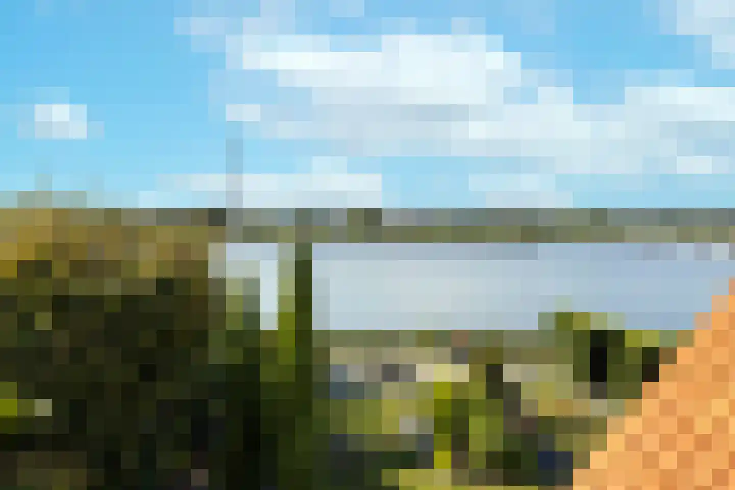 IJsvogel 11 Lathum thumbnail 5