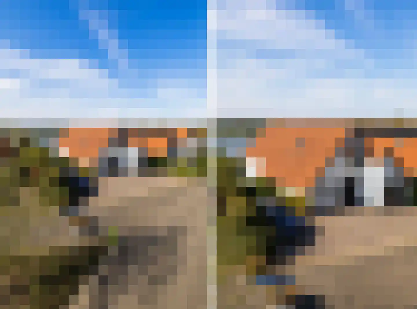 IJsvogel 11 Lathum thumbnail 50