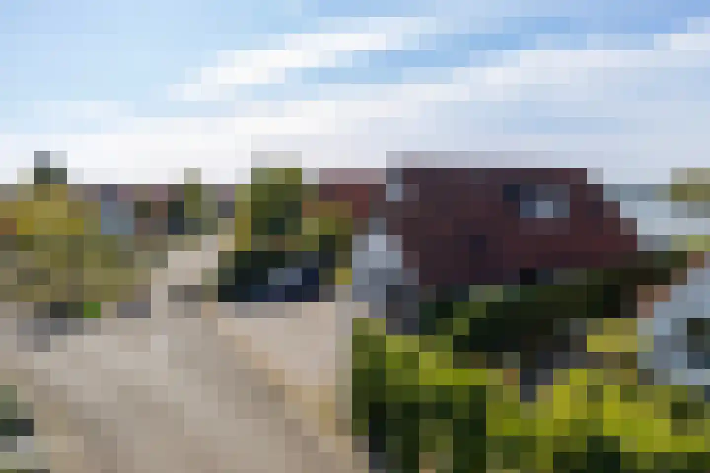 IJsvogel 11 Lathum thumbnail 52