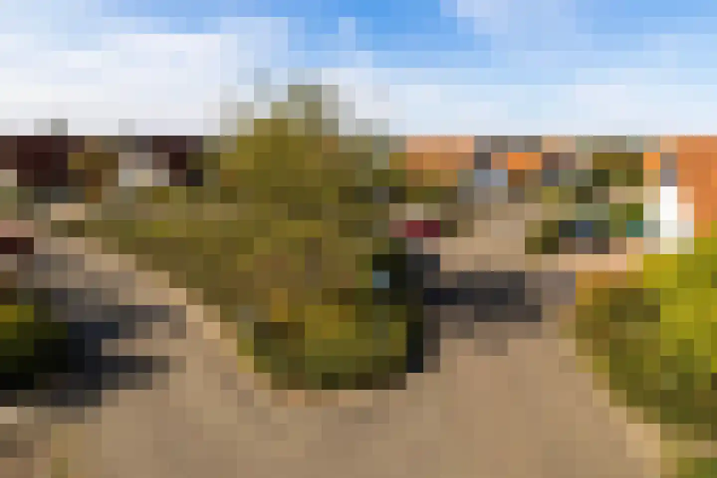 IJsvogel 11 Lathum thumbnail 53