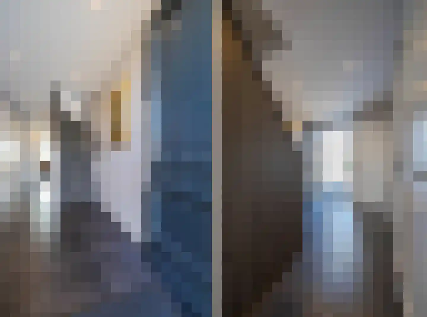 IJsvogel 11 Lathum thumbnail 9
