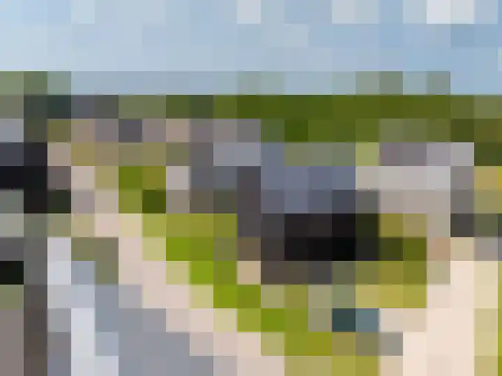 IJsvogel 12 Muiden thumbnail 11