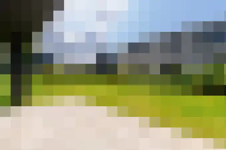IJsvogel 12 Muiden thumbnail 18